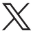 x icon